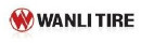 Pneu WANLI S1015 165/70R14 85 T